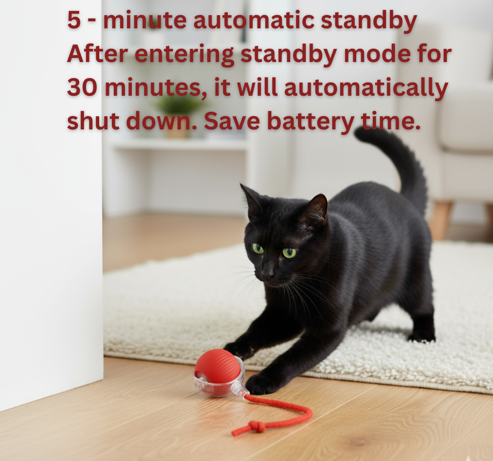 Esyler Rechargeable Automatic Rolling Smart Ball for Cats