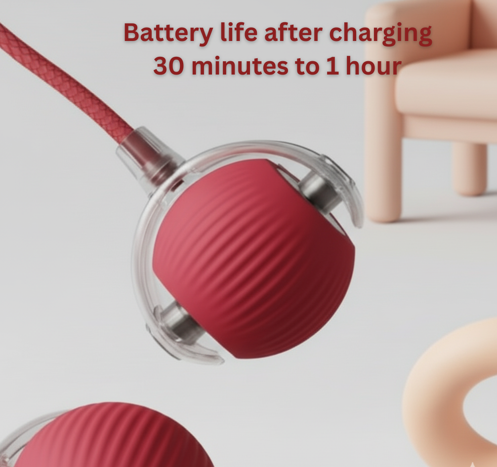 Esyler Rechargeable Automatic Rolling Smart Ball for Cats