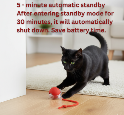 Esyler Rechargeable Automatic Rolling Smart Ball for Cats